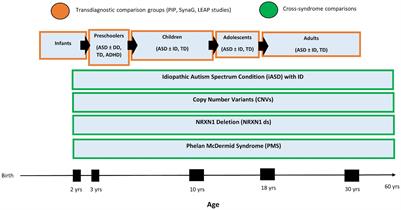 The Synaptic Gene Study: Design and Methodology to Identify Neurocognitive Markers in Phelan-McDermid Syndrome and NRXN1 Deletions